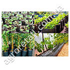 Рукав поліетиленовий для розсади та саджанців 8х5 см 40 мкм 1 м білий Інтерком М, фото 5