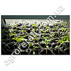 Рукав поліетиленовий для розсади та саджанців 8х5 см 40 мкм 1 м білий Інтерком М, фото 4