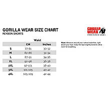 Чоловічі спортивні шорти Gorilla Wear Reydon Mesh Shorts сині XXL, фото 3