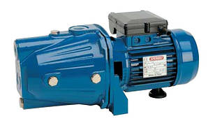 Насос Speroni CAM 100/25 HL  (чугун)