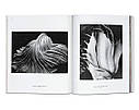 Книга Edward Weston., фото 6