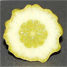 Лимон Каналикулата