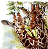 Картина по номерам и алмазная мозаика Два жирафа 3D 2 в 1 мозаика и раскраска на подрамнике 40х50 см