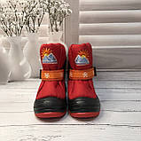 Дитячі зимові чоботи дутики Демар Demar Sun Rise червоні, фото 2