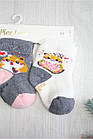 ОПТОМ Шкарпетки 3 пари махрові з хом'яком (7/0-3 міс.)  Pier Lone 8681788458041, фото 2