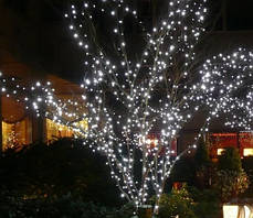 Гірлянда вулична "Ніть" (String) 100LED 10 м, чорний/білий дріт (каучук), світлодіодна біла, синя