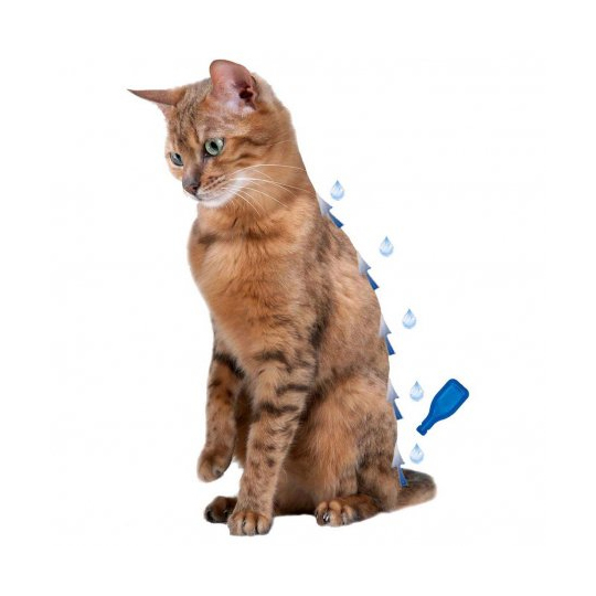 Капли Беафар IMMO Shield антипаразитные с силиконовым маслом для кошек и котят 3 пипетки Beaphar - фото 3 - id-p1521977030