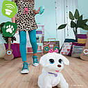 Інтерактивна іграшка танцюючий щеня Гого FurReal GoGo Hasbro, фото 6