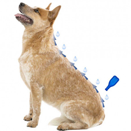 Капли Беафар IMMO Shield антипаразитные с силиконовым маслом для собак малых пород 1 - 15 кг 3 пипетки Beaphar - фото 2 - id-p1521993055