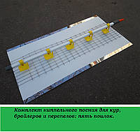 Комплект ніпельного поніювання для курей, бройлерів і перепілів: п'ять поїлок.