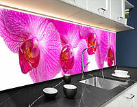 Кухонная панель на стену жесткая орхидеи розовые, с двухсторонним скотчем 62 х 205 см, 1,2 мм