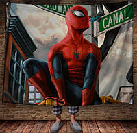 Плед с 3D принтом Spider-Man Hero