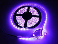 Світлодіодна стрічка 5050 RGB без вологозахисту 60 світлодіодів на 1 м