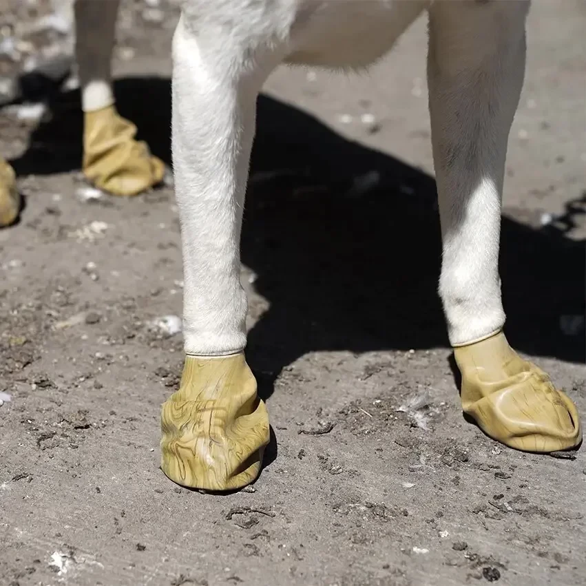 Резиновые носки - обувь для собак PAWZ (Поуз) размер L (12 штук) Камуфляж - фото 3 - id-p1522179405