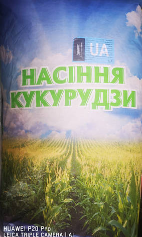 Кукурудза МОНИКа 350 МВ 2 фр., фото 1