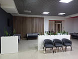 Меблеве масло Hard Furniture Oil Borma Wachs, фото 7