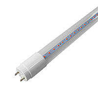 LED лампа для рослин Velmax V-T8-Fito, 18W, 1200мм, G13, Full spectrum