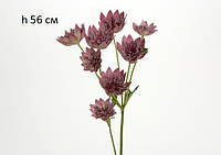 Цветок искусственный Lou de Castellane "Alstrantia", фиолетовый; h 56 см