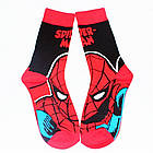 Шкарпетки Marvel Spiderman (р. 36-43), фото 3