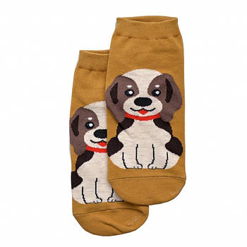 Короткі шкарпетки Beagle (36-41)