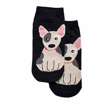 Короткі шкарпетки Bull terrier (36-41)