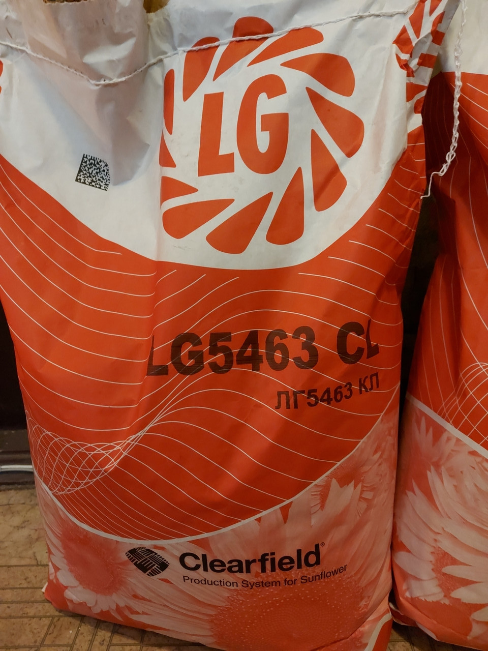 Семена подсолнечника ЛГ 5463 КЛ (LG 5463 CL) - фото 2 - id-p1370521381