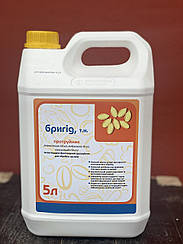 Протруйник Бригід 5л