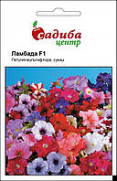Петунія Ламбада карликова суміш 20 шт, Садиба Центр, Голандія
