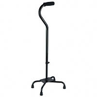 Тростина-квадропод з великою базою