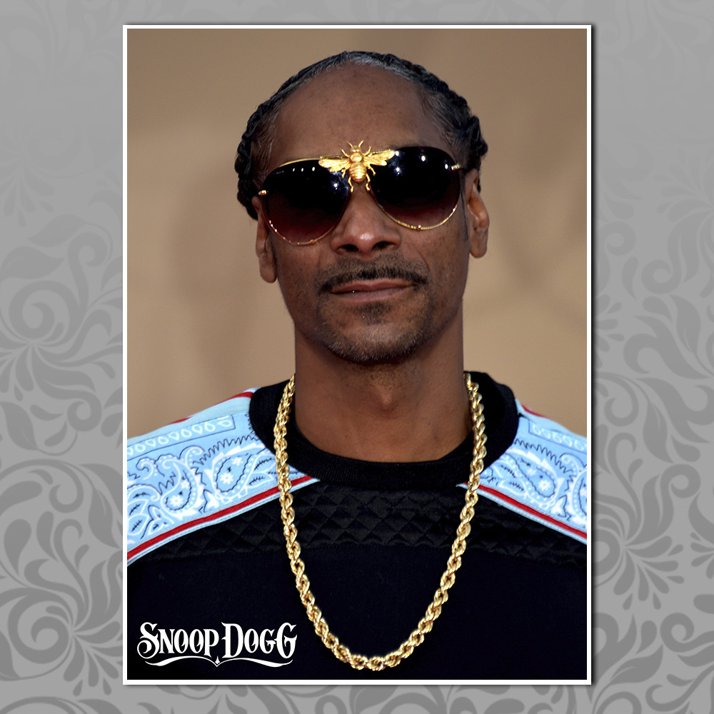 Плакат Snoop Dogg 006