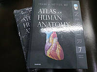 Атлас анатомии Неттер 7е издание (на английском) Atlas of Human Anatomyс