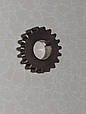 Шестерня третя Z - 19 під шпонку КПП мотоблоку 81-1 Кентавр, фото 2
