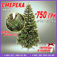 Ялинка Смерека лита 250 см (2.5 м)