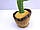 Танцюючий Кактус голосовий музичний Dancing Cactus, фото 8