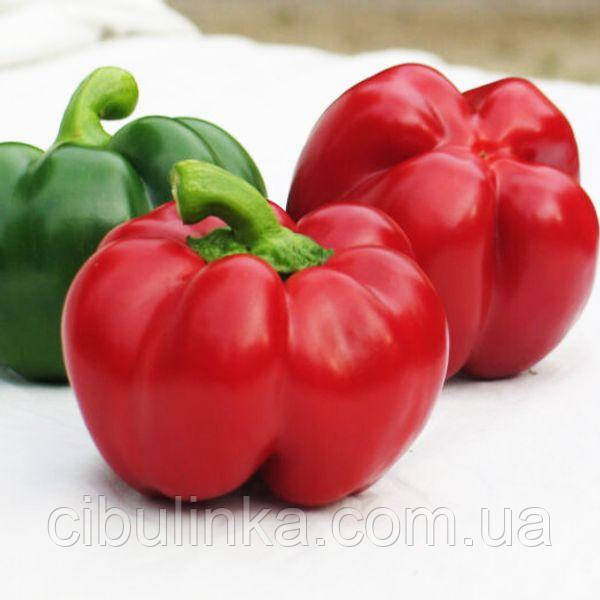 Перець солодкий Біхар F1 Lark Seeds/США 8 шт, фото 1