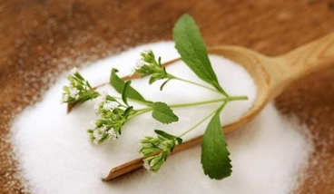 Дієтичний цукор еритритол для діабетиків замінник цукру для діабетиків 1000 г - Erytrol, Intenson, фото 5