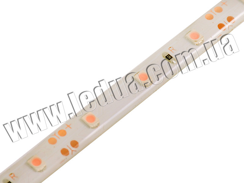 Світлодіодна стрічка 3528-60led-8mm-12V, IP20 рожевий