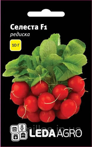 Насіння редиски Селеста (Celesta) F1, 10 гр., ТМ "ЛедаАгро"