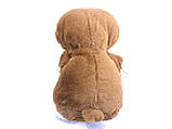 М’яка дитяча іграшка коричневого Мішка з проектором зоряного неба, фото 7