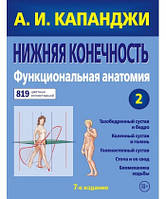 Нижняя конечность. Функциональная анатомия Капанджи А.И. (7-е издание)