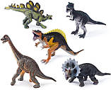 Набір Колекція Динозаврів Animal Zone DinoCollectibles, фото 4