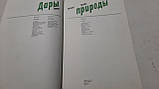 Дары природы. Травы. Ягоди. Гриби, фото 4