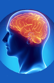 Добавки для мозку