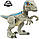 Іграшка динозавр Jurassic World Dino Rivals велоцираптор Блю GFD40, фото 4
