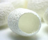 Кокони тутового шовкопряда першої категорії, упаковка 10 шт, фото 4