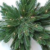 Хвоя зелена, гілка ялини, фото 5