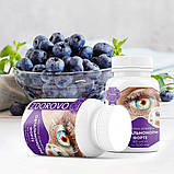 Дієтична домішка "Офтальмонорм форте", Дієтична домішка для очей "Офтальмонор форте", 60 капсул, фото 2