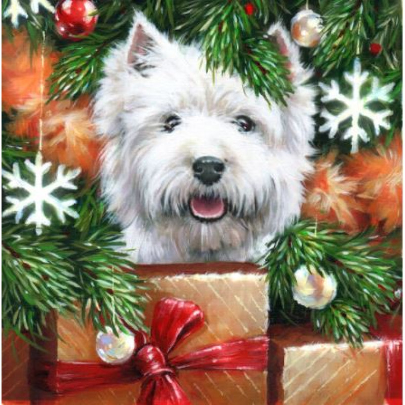 DMP-420 Набір діамантової мозаїки на підрамнику Йорк з подарунками