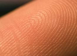 Здоров'я шкіри