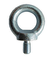 Рим болт М16 DIN 580